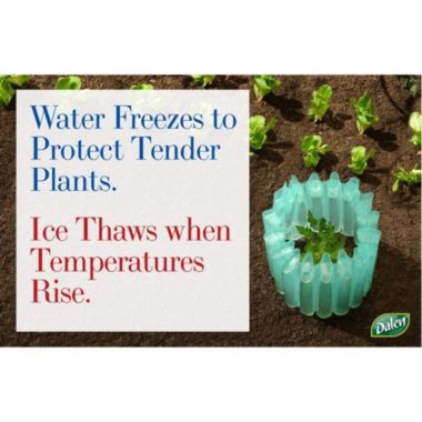 Gardeneer By Dalen Season Starter Early Season Plant Protector 18 x 17 (3 Pk). View a larger version of this product image.