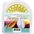 Alternate image 0 for Scentsationals 1-Aromabreeze Fragrance Disc Halo - Tropical Rush