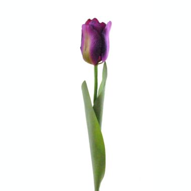DII Artificial Flowers - Set of 4 Purple Tulips. View a larger version of this product image.
