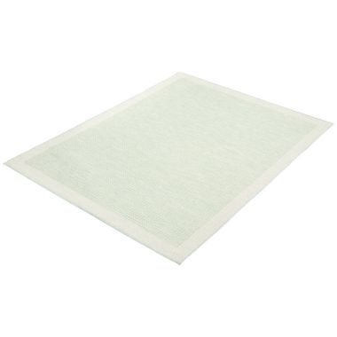 Chaudhary Living 6.5' x 9.5' Mint Green and Off White Bordered Solid Rectangular Area Throw Rug. View a larger version of this product image.