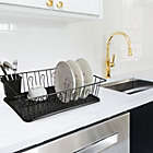 Alternate image 1 for MegaChef 17.5 Inch Black Dish Rack with 14 Plate Positioners and a Detachable Utensil Holder