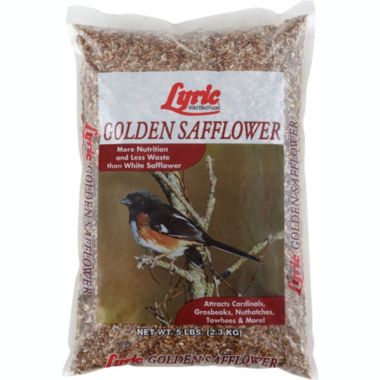 Lyric Bird Products 26-47275 Lyric Safflower Seed for Wild Birds. View a larger version of this product image.
