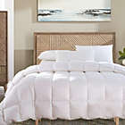 Alternate image 0 for Egyptian Linens Egyptian Cotton Damask Stripe White Down Comforter Lightweight