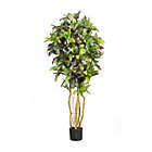 Alternate image 0 for Nearly Natural 5&#39; Croton Silk Tree Green