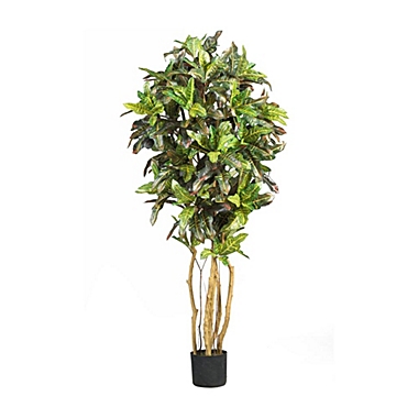 Nearly Natural 5&#39; Croton Silk Tree Green. View a larger version of this product image.