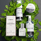 Alternate image 2 for Premium Bath and Body Beauty Basket, Rosemary Peppermint Home Spa Set