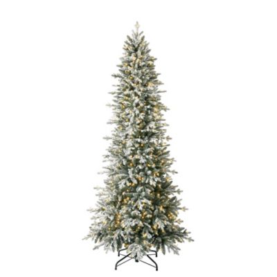 Home Heritage Green 600 Clear Dimmable LEDs Redwood 7.5&#39; Christmas Tree