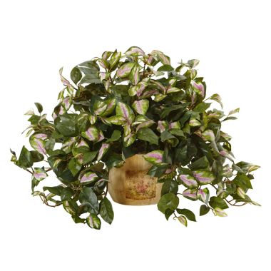 Nearly Natural Hoya in Wooden Pot. View a larger version of this product image.