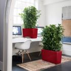 Alternate image 1 for Lechuza USA 30" Glossy Red Cararo Rectangular Planter