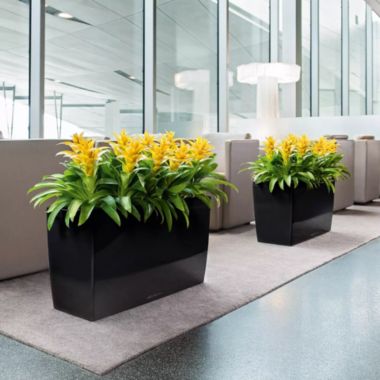 Lechuza USA 30" Glossy Red Cararo Rectangular Planter. View a larger version of this product image.