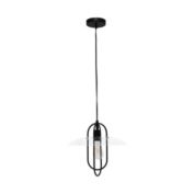 Simple Designs 1 Light Modern Metal Pendant Light with Clear Glass Shade - Black