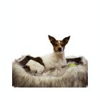 Alternate image 2 for Duke and Darling Faux Fur White Pet Bed, Machine Washable, Slip Resistant, Safe Materials, Removable Cushion, Ultra Comfort - Ivory