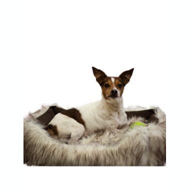 Duke and Darling Faux Fur White Pet Bed, Machine Washable, Slip Resistant, Safe Materials, Removable Cushion, Ultra Comfort - Ivory. View a larger version of this product image.