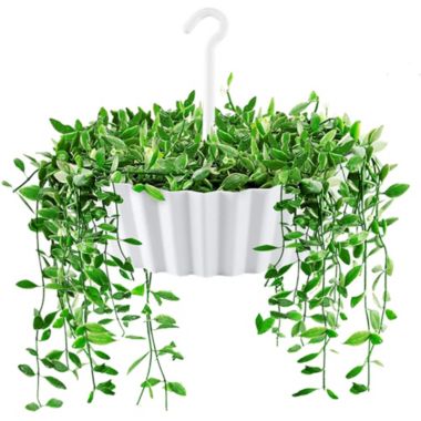 Tree Nest (#122635) Hanging Sunny Lace Pattern Planter, White - 10" Diameter. View a larger version of this product image.