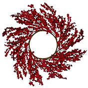 Northlight 22" Festive Red Berries Artificial Christmas Wreath - Unlit