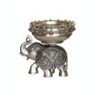 Alternate image 3 for Cottage Handicraft ,Urli Elephant with Free Elephant Gift