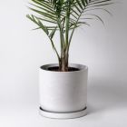 Alternate image 1 for Kanso Designs - 12" Planter Pot, Large Planter, Indoor Plant Pot, Indoor Planter, with Drainage Hole & Plug, Imitation Concrete Ceramic Flower Plant Pot