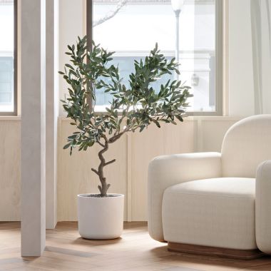 Kanso Designs - 12" Planter Pot, Large Planter, Indoor Plant Pot, Indoor Planter, with Drainage Hole & Plug, Imitation Concrete Ceramic Flower Plant Pot. View a larger version of this product image.