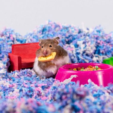 PetsPick Uber Soft Paper Pet Bedding for Small Animals, Confetti Multicolor, 56L. View a larger version of this product image.