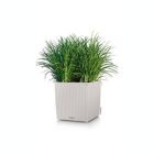 Alternate image 2 for Lechuza USA 16" Gray All In One Cube Wicker Planter