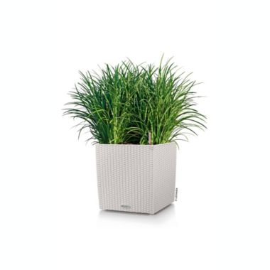 Lechuza USA 16" Gray All In One Cube Wicker Planter. View a larger version of this product image.