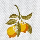 Alternate image 2 for SKL Home By Saturday Knight Ltd Vern Yip Citrus Grove Bath Towel - 27X50", White