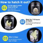 Alternate image 3 for Department Store 4Pcs Assorted Color Easter Dinosaur Hatching Eggs - Crack and Grow In Water Perfect for  Color Hunting Game, Easter Basket Stuffers, Birthdays Party Favors For Toddler Kids