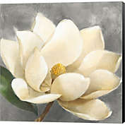 Great Art Now Magnolia Blossom on Gray by Albena Hristova 12-Inch x 12-Inch Canvas Wall Art
