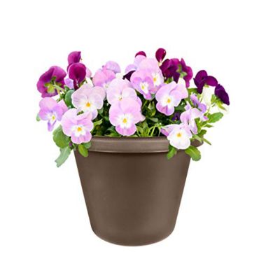 The HC Companies Classic Garden Planter- Chocolate - 8 inch. View a larger version of this product image.