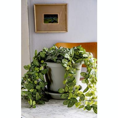 The HC Companies Classic Garden Planter- Chocolate - 8 inch. View a larger version of this product image.