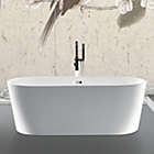 Alternate image 0 for Bath, Kitchen & Basic 100% Acrylic Freestanding Bathtub Contemporary Soaking Tub with Brushed