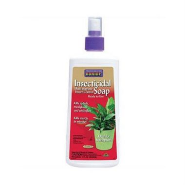 Bonide (#B70 112) Insecticidal Soap Houseplant Ready-To-Use Spray, 12oz. View a larger version of this product image.