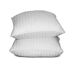 Blue Ridge 500 TC Damask Stripe Cotton Cover Siberian White Down Pillow - Jumbo 20