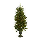 Alternate image 0 for Nearly Natural 4&#39; Christmas Tree w/Urn & Clear Lights