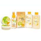 Alternate image 1 for Freida and Joe Cucumber Melon Bath & Body Gift Set Basket