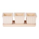 Alternate image 0 for Accent Plus White Square Ceramic Small Planter Set Of 3