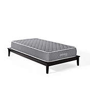 Modway Mila 10" Twin Mattress with Quilted Polyester Cover