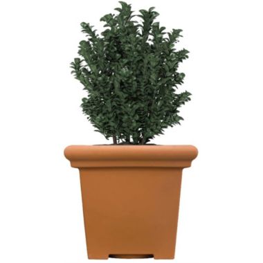 The HC Companies Terrazzo Plastic Square Planter, Terra Cotta - 20". View a larger version of this product image.
