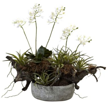 Nearly Natural 22" Artificial Orchid and Succulent Garden with Driftwood and Vase. View a larger version of this product image.