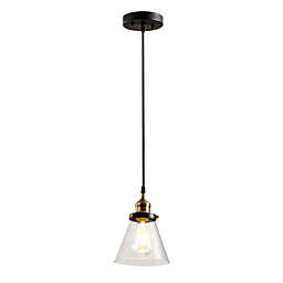 Alpha Lighting Modern decorative 1-Black Light Pendant with Glass Shade