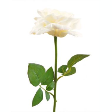 DII Artificial Flowers - Set of 6 Ivory Open Roses. View a larger version of this product image.