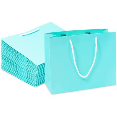 Sparkle and Bash Teal Gift Bags with Handles, Medium Size (10 x 8 x 4 in, 20 Pack)
