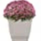 Alternate image 1 for The HC Companies Outdoor/Indoor Plastic Planter Eclipse Square, Cottage Stone, 8''