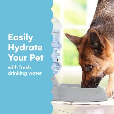 Noa Store Automatic Pet Water Dispenser 1 And 3 Gallon Cat Water Dispenser And Cat Food. View a larger version of this product image.