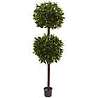 Alternate image 0 for Nearly Natural 6&#39; Sweet Bay Double Ball Topiary