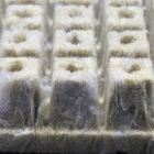 Alternate image 1 for Grodan 1 Inch Grodan Rockwool Cubes, Sheet of 100