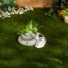 Alternate image 2 for Accent Plus Snail Garden Planter with Solar Light-Up Tentacles