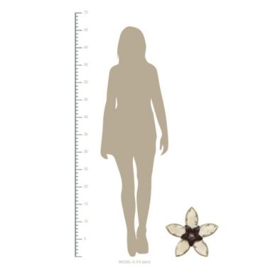 HomeRoots Home Decor Antiqued Look Ivory and Espresso Metal Flower Wall Decor - 321369. View a larger version of this product image.