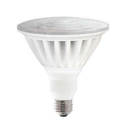 Xtricity - High Lumen Energy Saving LED Bulb, 55W, E26 Base, 5000K Daylight