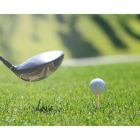 Alternate image 1 for Juvale 300 Pack Tall Wooden 2-3/4 Long Bamboo Golf Tees for Golfing Practice, Sports Tournaments (2.75 In)